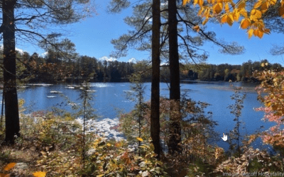 Saratoga real estate agent acquires Hide-A-Way Waterfront Cottages in Lake Luzerne